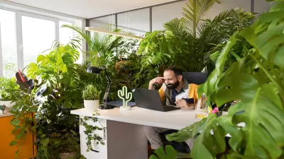 Um homem trabalha num portátil num escritório sobrecarregado com plantas, criando uma atmosfera semelhante à da selva.